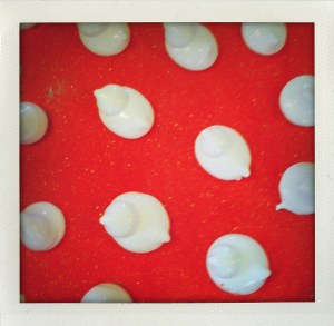 "peep polka dots waiting to be sugared"