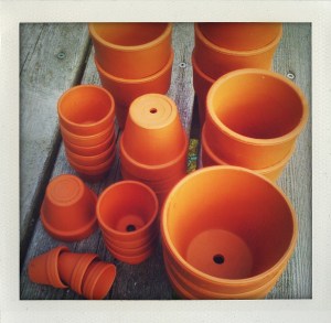 flower pots "flower pots"