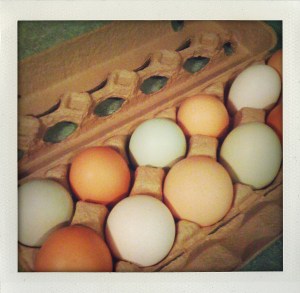 "farmer's market eggs"
