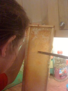 "Removing the cappings"