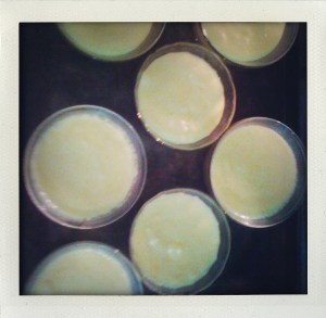 "lemon sponge custard getting ready to bake"