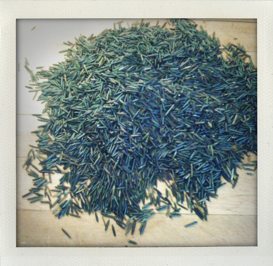"raw wild rice"