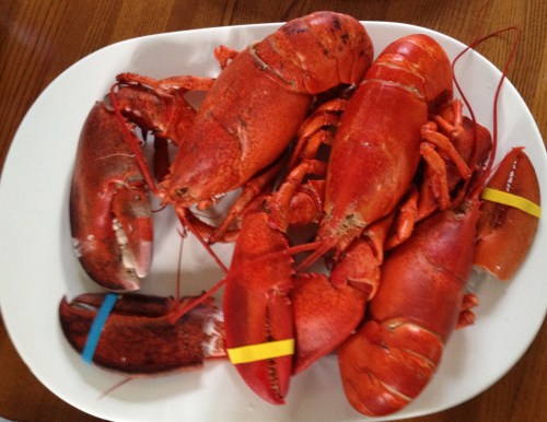 "Lobster on the Cape"