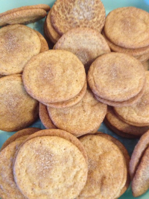 "snickerdoodles waiting for ice cream"