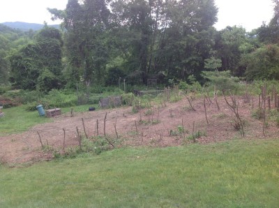 almost cleared field