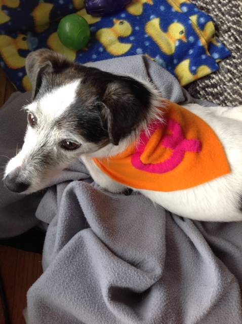 Cape of shame indoors