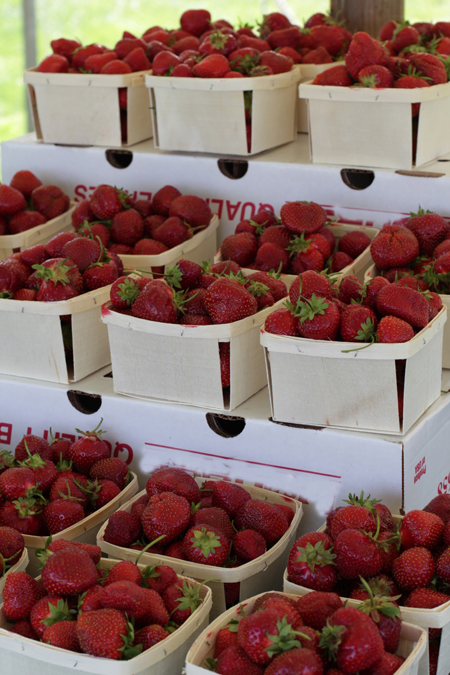 Strawberries for sale