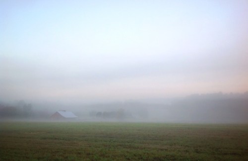 Mist on Mountain Street