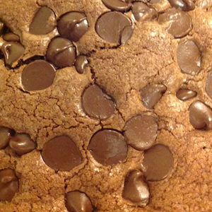 Chocolate chip brownies