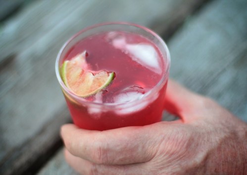 Sour cherry vodka cocktail
