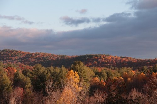 Fall hillside
