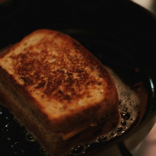 Grilled cheese sandwich made with cottage cheese dilly bread