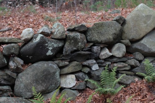 Stone wall in New England