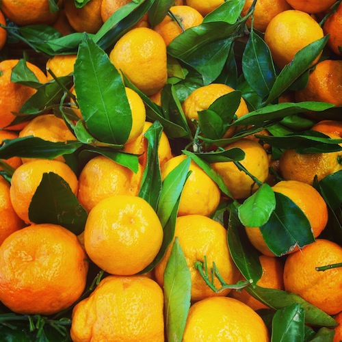 Mandarine oranges
