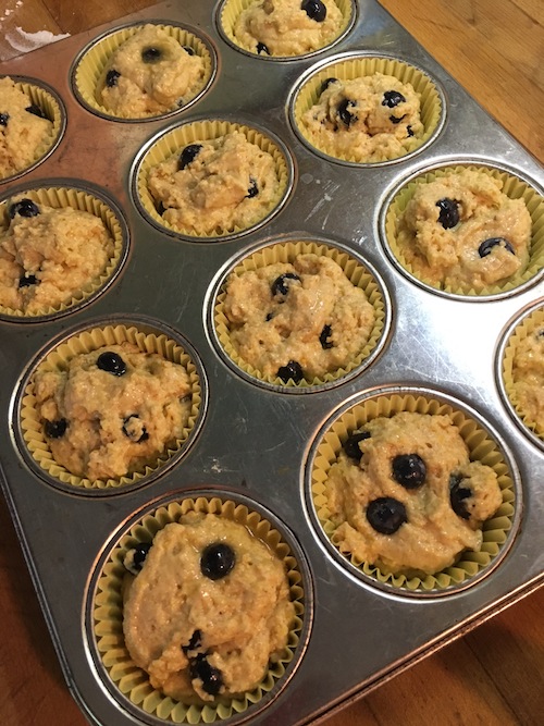 Blueberry corn muffins ready to bake