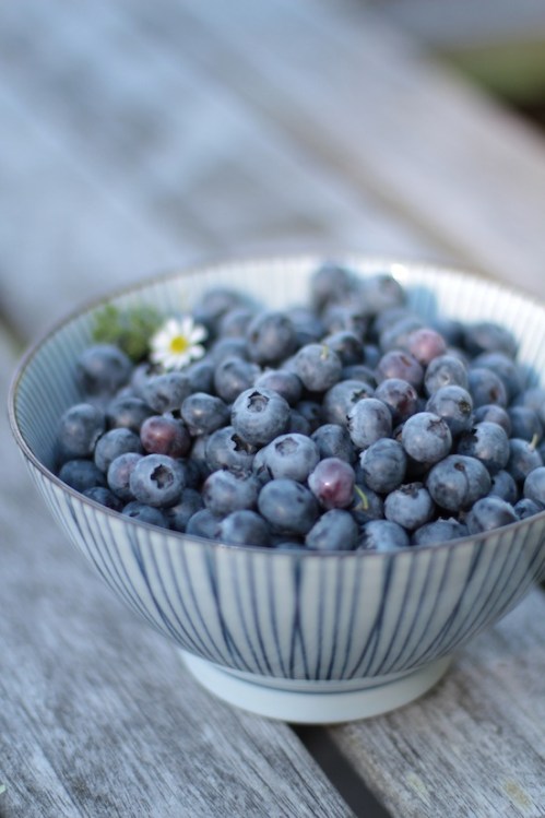 Bowl of summer blueberries