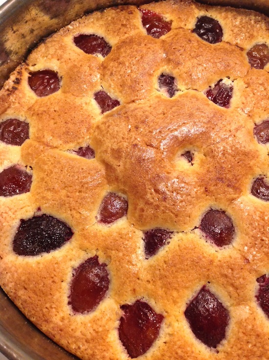 Fresh out of the oven italian plum cake