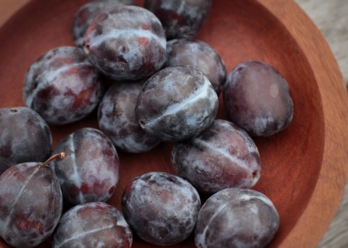 Italian plums