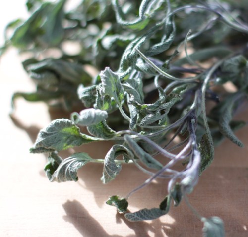 Dried sage