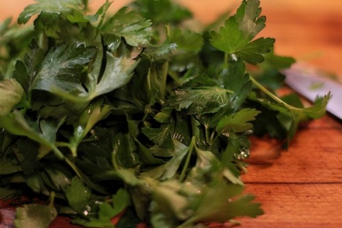 Italian parsley