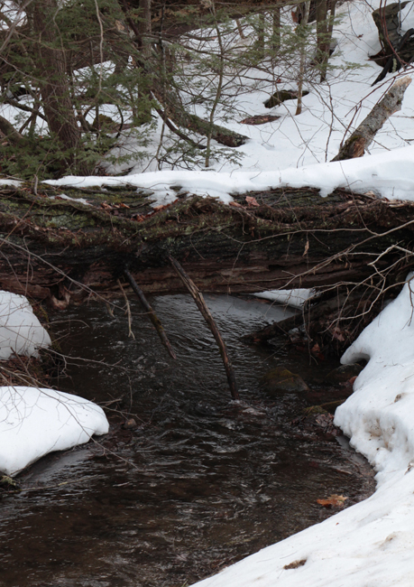 Brook along Grass Hill Road