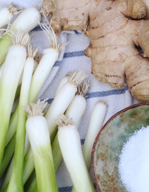 Scallions, ginger and salt - the essential ingredients for green crack sauce