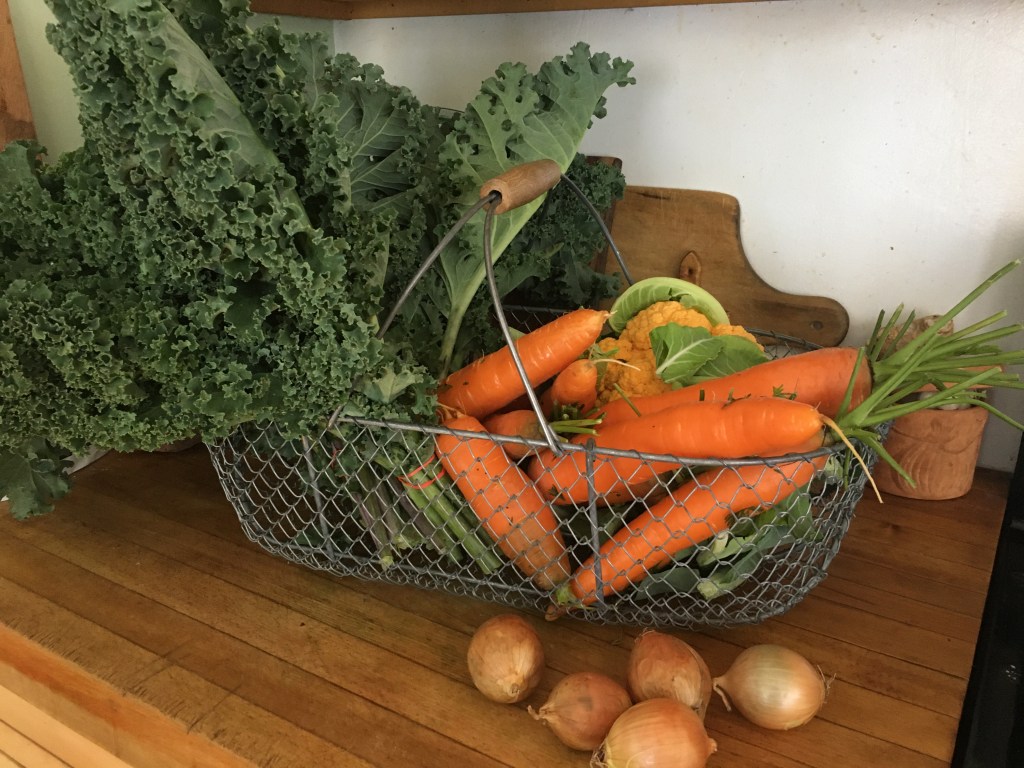 Fall bounty from Golunka's Farm. 
