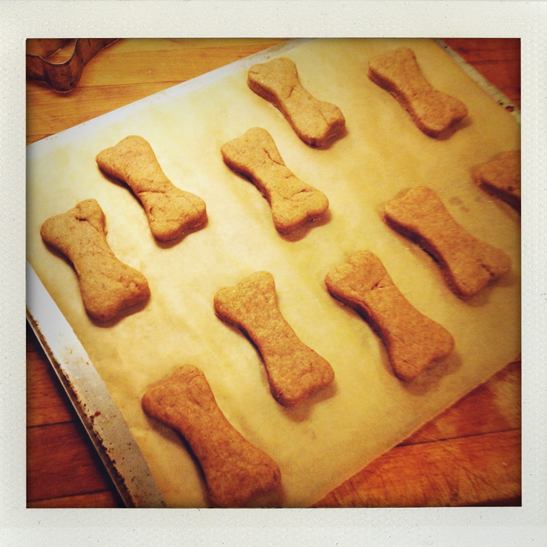 "beef and bacon home-made dogbones"